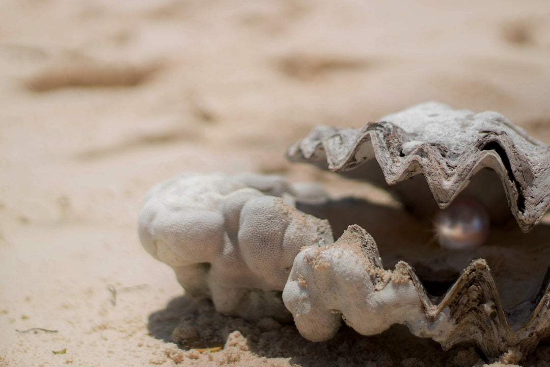 The Magical Journey of Birth—How Are Pearls Formed?